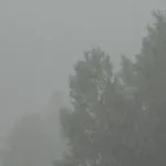 cyclone